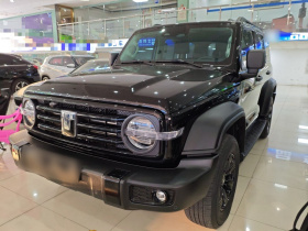 坦克300 2024款 2.0T 征服者