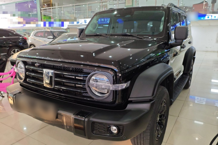 坦克300 2024款 2.0T 征服者车身外观1