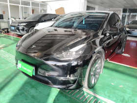 特斯拉 Model Y 2021款 标准续航后驱版