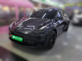 特斯拉 Model Y 2024款 后轮驱动版