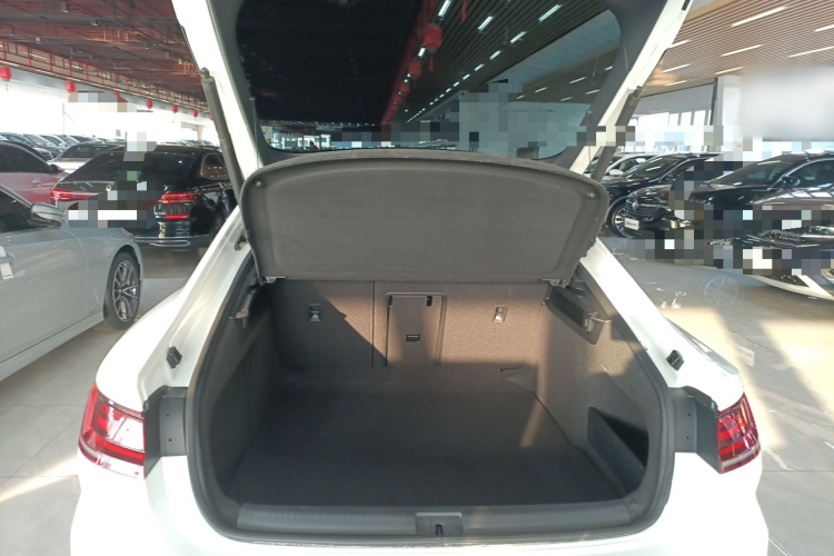 一汽-大众CC 2024款 380TSI 夺目版机舱底盘23