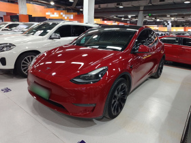 特斯拉 Model Y 2022款 改款 长续航全轮驱动版