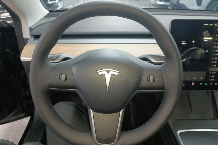 特斯拉 Model 3 2021款 标准续航后驱升级版 3D6中控内饰13