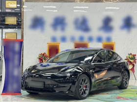 特斯拉 Model 3 2020款 长续航后轮驱动版