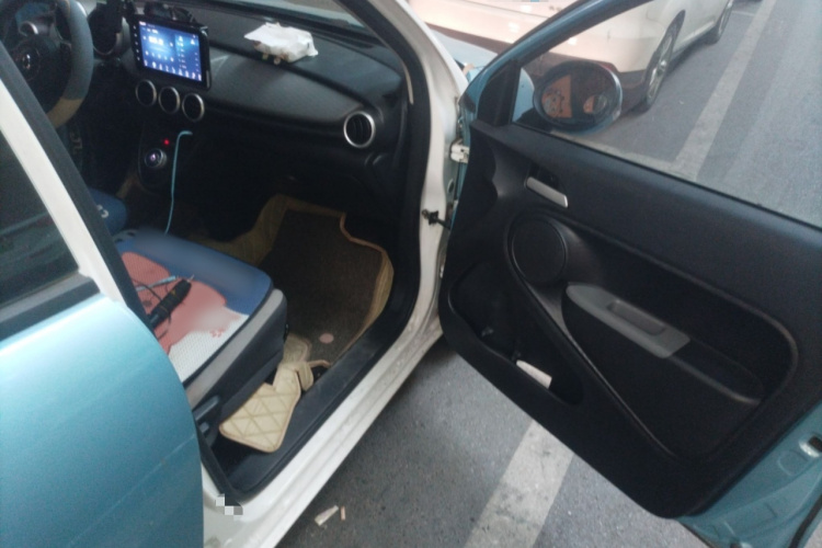 欧拉黑猫 2019款 351km 女神版局部细节9005