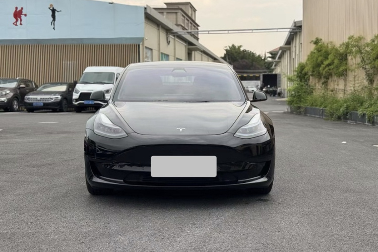 特斯拉 Model 3 2021款 标准续航后驱升级版车身外观6003