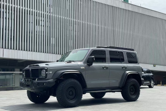 坦克300 2021款 2.0T 风林铁骑