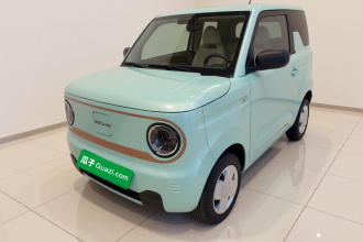 吉利银河 2024款 熊猫mini 200km 耐力熊