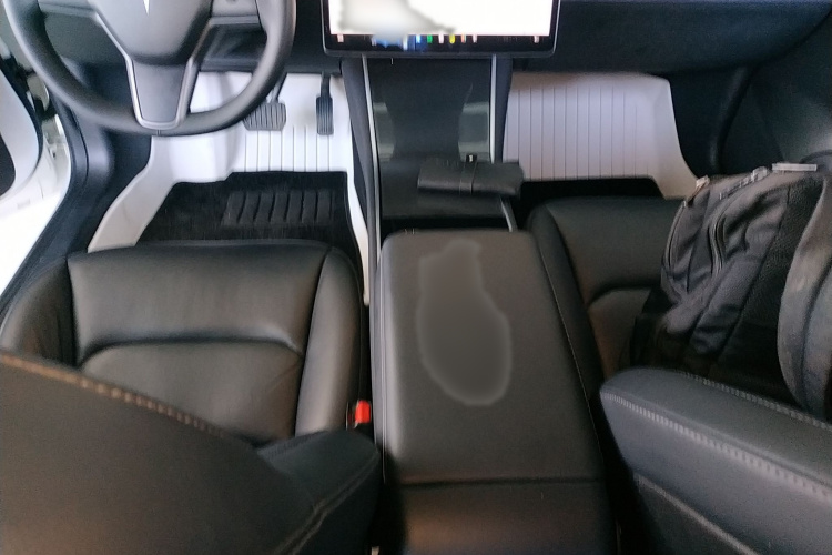 特斯拉 Model 3(进口) 2019款 标准续航后驱升级版(60度)局部细节18