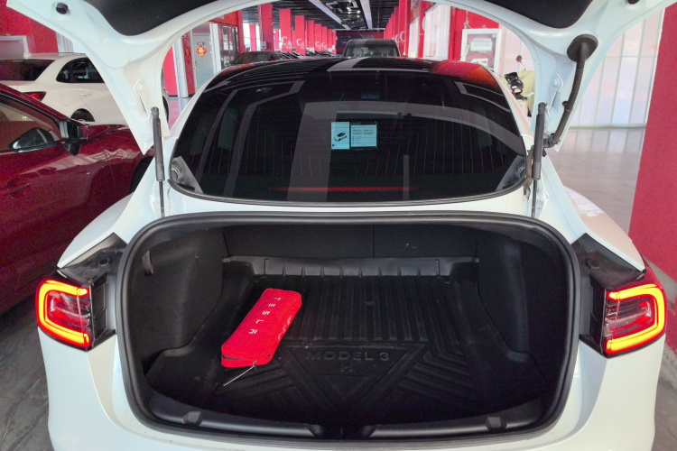 特斯拉 Model 3 2021款 标准续航后驱升级版局部细节23