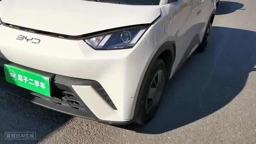 比亚迪 海鸥 2025款 305km 活力版检测视频1