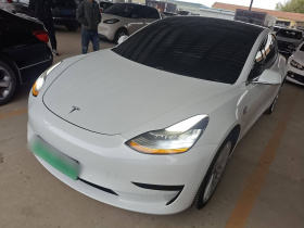 特斯拉 Model 3 2019款 标准续航后驱升级版