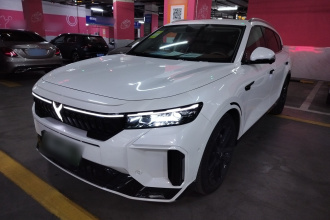 岚图汽车 岚图FREE 2024款 超长续航智驾版