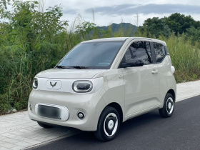 五菱汽车 宏光MINIEV 2024款 第三代 215km 青春版