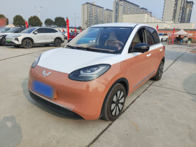 五菱汽车 五菱缤果 2025款 333km 灵犀尊享款