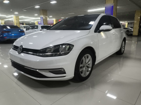 大众 高尔夫 2018款 230TSI 手动舒适型