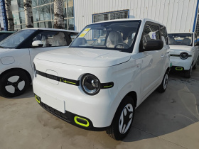 吉利银河 熊猫 2025款 210km 元气熊