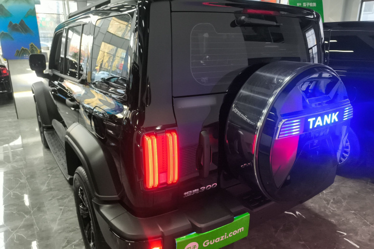 坦克300 2024款 2.0T 征服者车身外观6