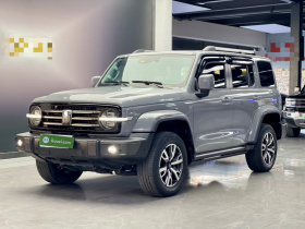 坦克300 2023款 城市版 2.0T 很有型