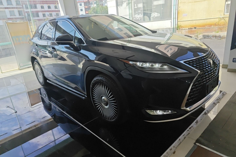 雷克萨斯RX 2020款 改款 300 四驱典雅版车身外观6002