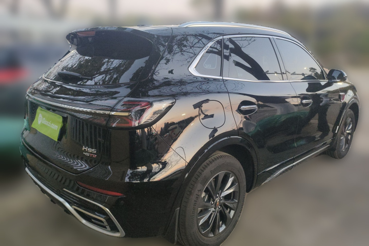 红旗HS5 2023款 2.0T 旗享Pro版车身外观7