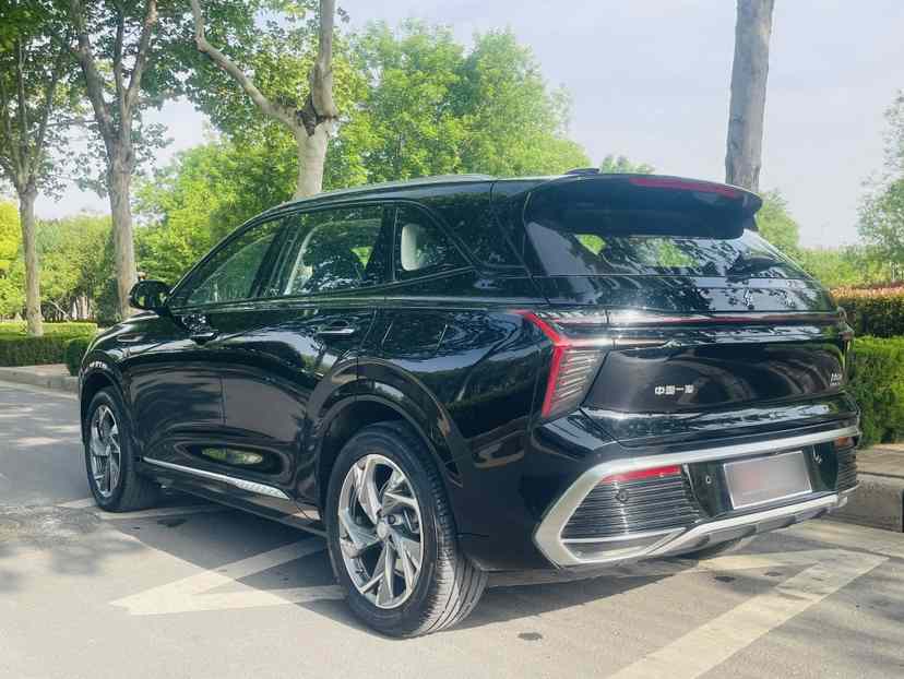 红旗HS3 PHEV 2024款 115km 劲为版(5)