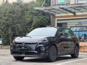 岚图汽车 岚图知音 2024款 长续航超充版