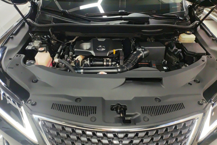 雷克萨斯RX 2020款 300 两驱精英版 国VI机舱底盘24