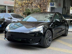 特斯拉 Model 3 2022款 后轮驱动版