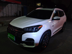 奇瑞 瑞虎8 2019款 1.6TGDI 自动尊贵型