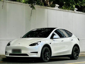 特斯拉 Model Y 2022款 后轮驱动版