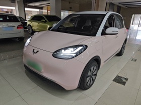 五菱汽车 五菱缤果 2023款 410km 灵犀尊享款