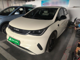 比亚迪 海豚 2025款 智驾版 420km 自由版