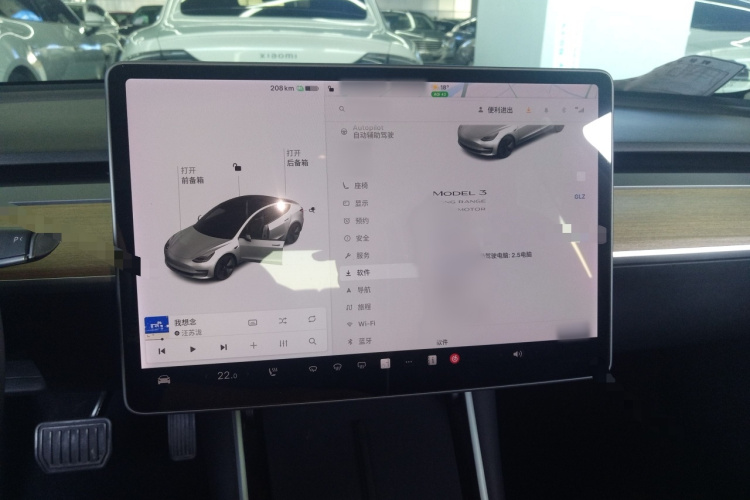 特斯拉 Model 3(进口) 2019款 长续航全轮驱动版局部细节16