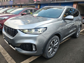 魏牌 VV6 2018款 2.0T 两驱旗舰型 国V