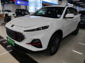 思皓X7 2021款 1.5T 尊贵型