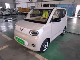 五菱汽车 宏光MINIEV 2024款 第三代 215km 青春版