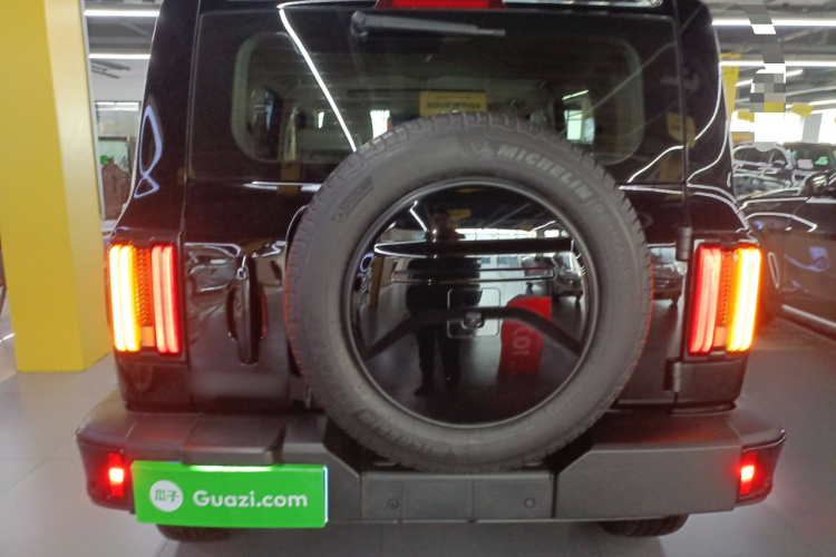 坦克300 2024款 2.0T 穿越者车身外观6