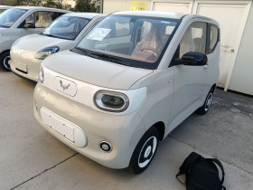 五菱汽车 宏光MINIEV 2024款 第三代 215km 青春版