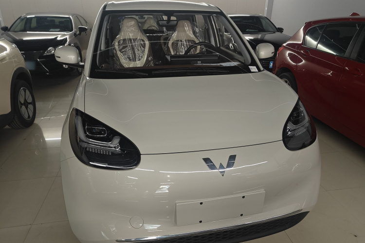 五菱汽车 五菱缤果 2024款 333km 悦享款车身外观2