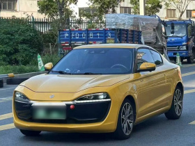 零跑汽车 零跑S01 2020款 460 Pro