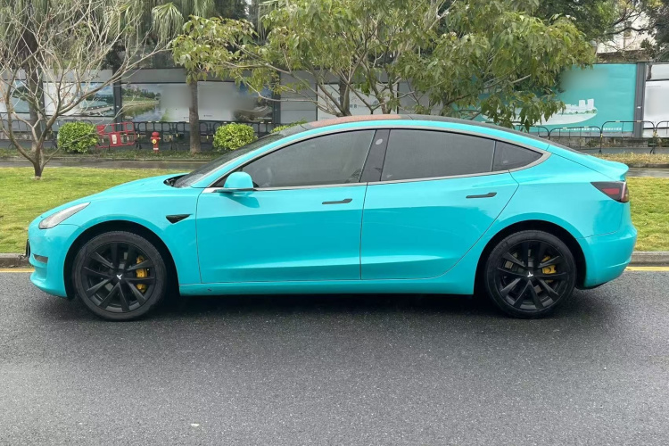 特斯拉 Model 3(进口) 2019款 长续航后驱版车身外观4