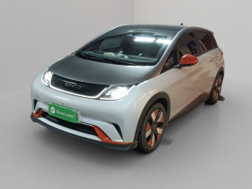 比亚迪 海豚 2021款 401km 骑士版