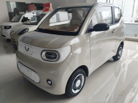 五菱汽车 宏光MINIEV 2024款 第三代 215km 青春版