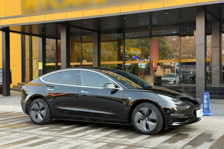 特斯拉 Model 3(进口) 2019款 长续航后驱版车身外观6009