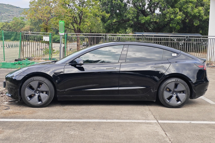 特斯拉 Model 3 2021款 标准续航后驱升级版车身外观6007