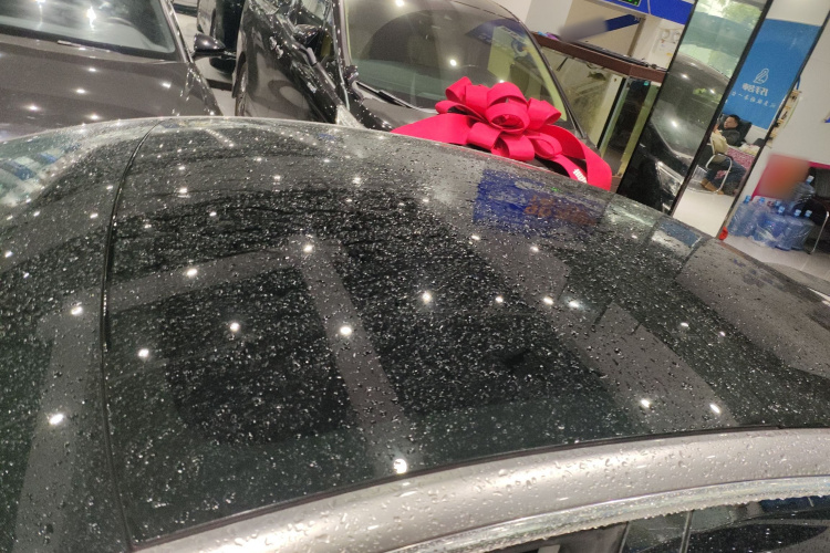 特斯拉 Model 3 2020款 改款 长续航后轮驱动版局部细节57