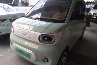 五菱汽车 宏光MINIEV 2024款 第三代 215km 青春版