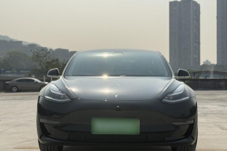 特斯拉 Model 3 2020款 改款 长续航后轮驱动版车身外观6005