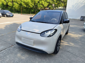 五菱汽车 五菱缤果 2024款 333km 悦享款